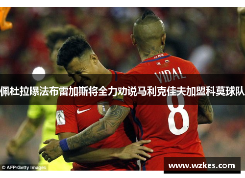 佩杜拉曝法布雷加斯将全力劝说马利克佳夫加盟科莫球队